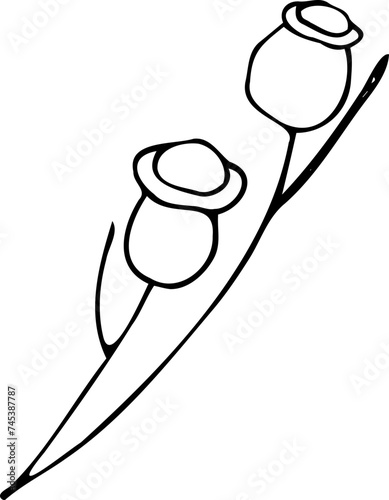 tattoo, sketch, freehand drawing, floristry, contour, one line, vector, twig, leaves, petal, leaves, nature, organic