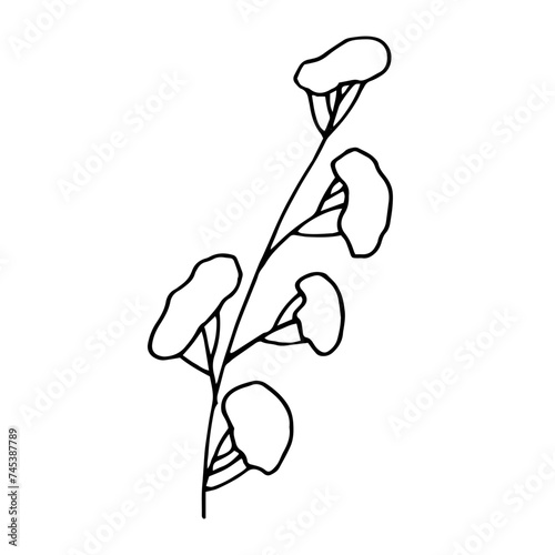 black and white orchid on white, tattoo, sketch, freehand drawing, floristry, contour, one line, vector, twig, leaves, petal, leaves, nature, organic