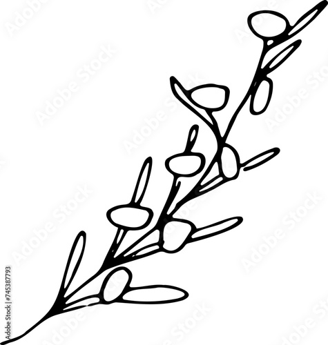 spikelet, wheat, tattoo, sketch, freehand drawing, floristry, , contour, one line, vector, twig, leaves, petal, leaves, nature, organics