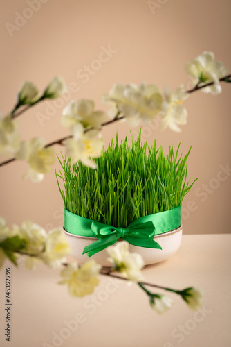 Traditional Novruz semeni wheat glass decorated with ribbon on neutral beige shebeke background and white blooming branch, celebration of spring equinox in Azerbaijan