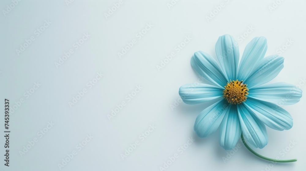 Obraz premium a blue flower with a yellow center on a light blue background with a yellow center on the center of the flower.