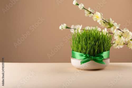 Traditional Novruz semeni wheat glass decorated with ribbon on neutral beige shebeke background and white blooming branch, celebration of spring equinox in Azerbaijan
