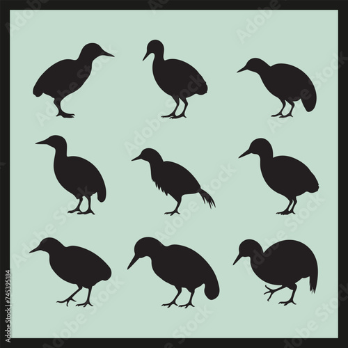 collection of birds  Kiwi black silhouette set vector