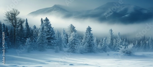 A snowy landscape featuring tall trees covered in snow, with rocky mountains looming in the background. The scene is enveloped in enchanting fog, creating a mystical and serene atmosphere.