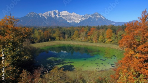 a green pond surrounded by trees with a mountain in the backgrouf of the picture in the background.