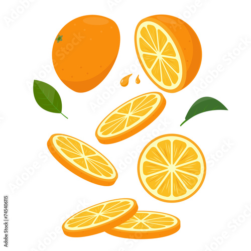 Fresh juicy cut orange and orange slices. Organic oranges fruit for lemonade juice or detox smoothie, vitamin C healthy food. Vector illustration isolated on white background.