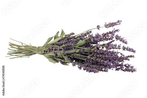 Lavender bouquet tied with twine, cut out - stock png.