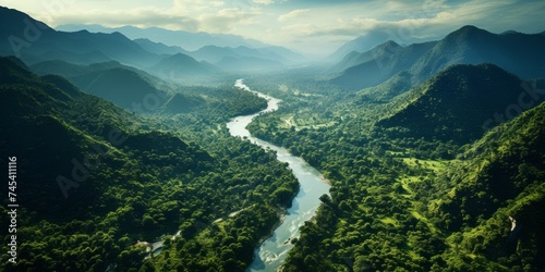 Landscape of Rainforest in South America