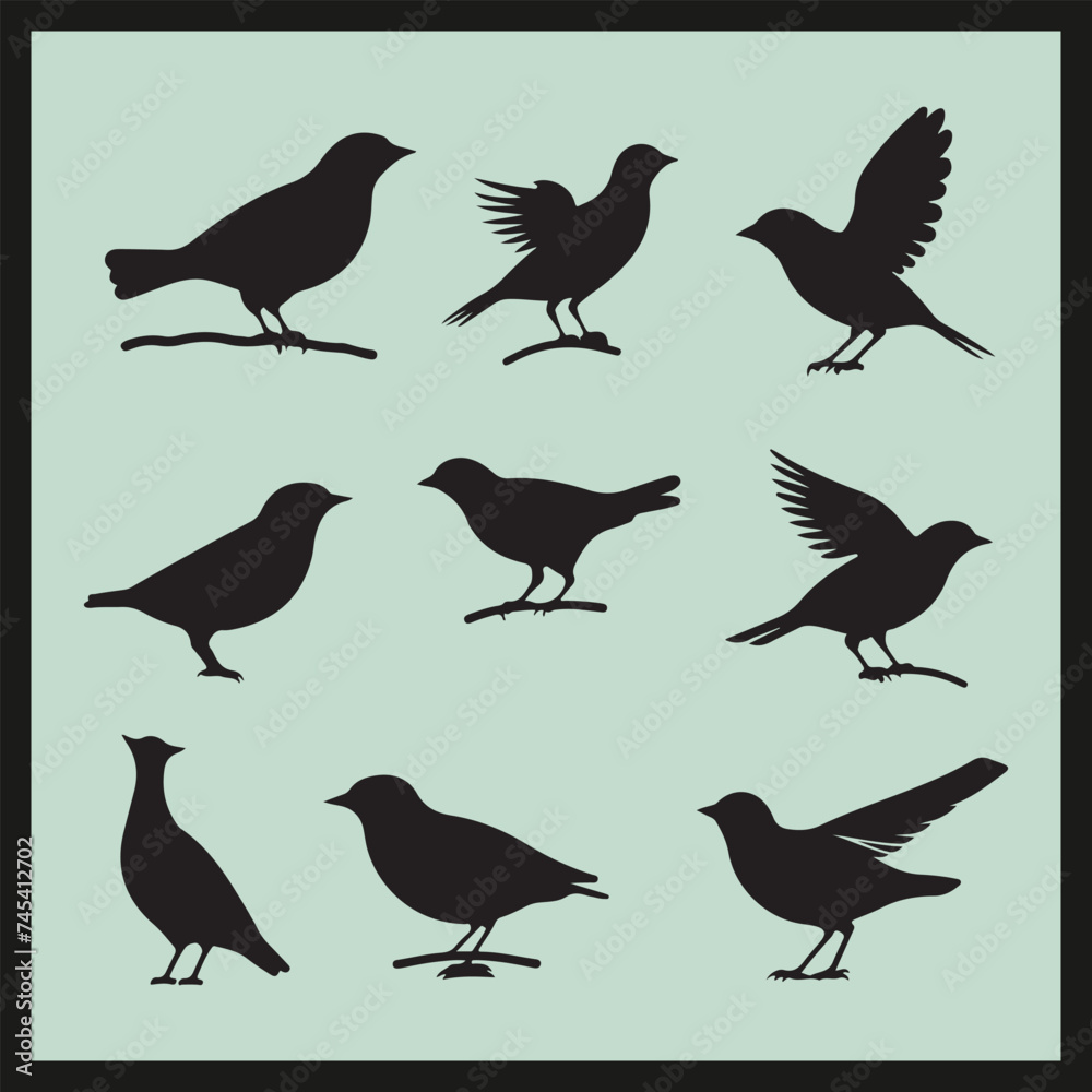 Fototapeta premium set of silhouettes of birds