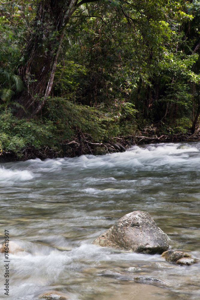 Fototapeta premium Rainforest Scenery with creek and cascades south of Cairns, Queensland, Australia