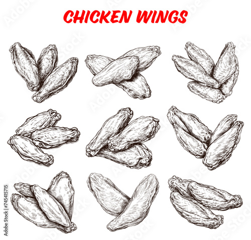 Collection of drawn Chicken wings. Sketch illustration