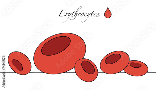 Red blood cells. Erythrocyte. Blood. Color vector