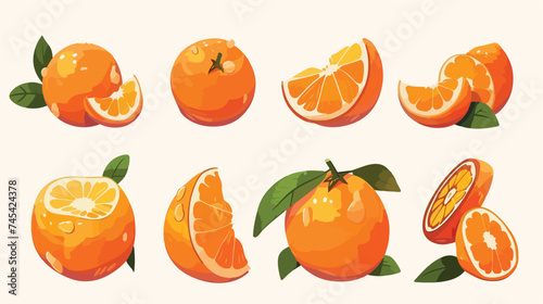 Orange Fruit Citrus Nature Food Fresh Vector Illustration