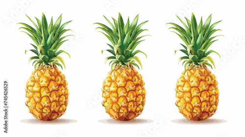 Pineapple Fruit Fresh Harvest Vector Illustration Is