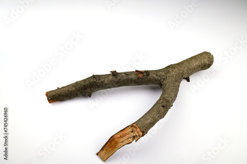 a tree trunk similiar with slingshot with white back ground