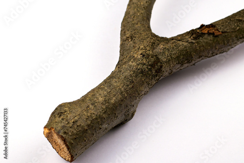 a tree trunk similiar with slingshot with white back ground