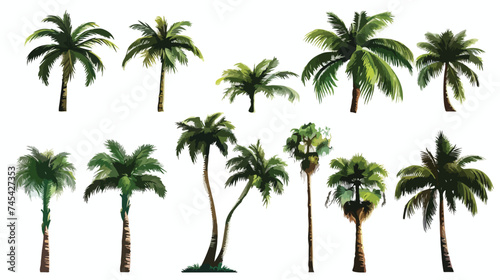 Silhouette Palm Tree Tropical Natural Vector Illustration