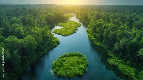  a river running through a lush green forest covered in lots of green grass and surrounded by a forest covered in lots of tall, green, leafy, lush trees.