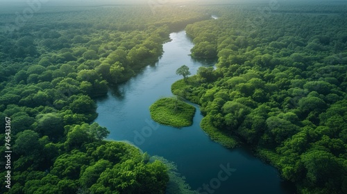  a river running through a lush green forest next to a forest filled with lots of green trees and a forest filled with lots of green grass covered with lots of trees.