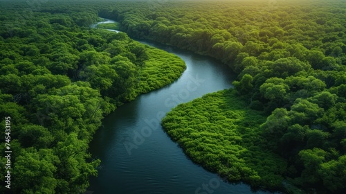  an aerial view of a river in the middle of a lush green forest with a sun shining on the trees and the river running through the center of the area.
