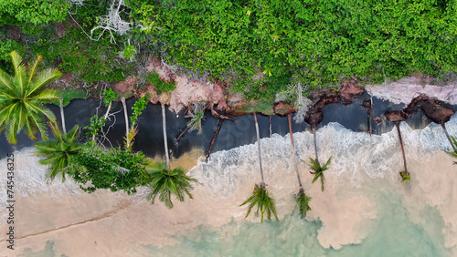 Scenic Palm Trees In Trancoso Bahia Brazil. Beach Landscape. Brazilian Northeast. Bahia Brazil. Seascape Outdoor. Scenic Palm Trees In Trancoso Bahia. Brazil Discovery Coast. photo