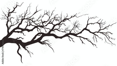 Tree Silhouette. Branch Trunk Foliage Image Vector I