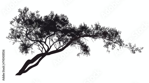 Tree Silhouette. Branch Trunk Foliage Image Vector I