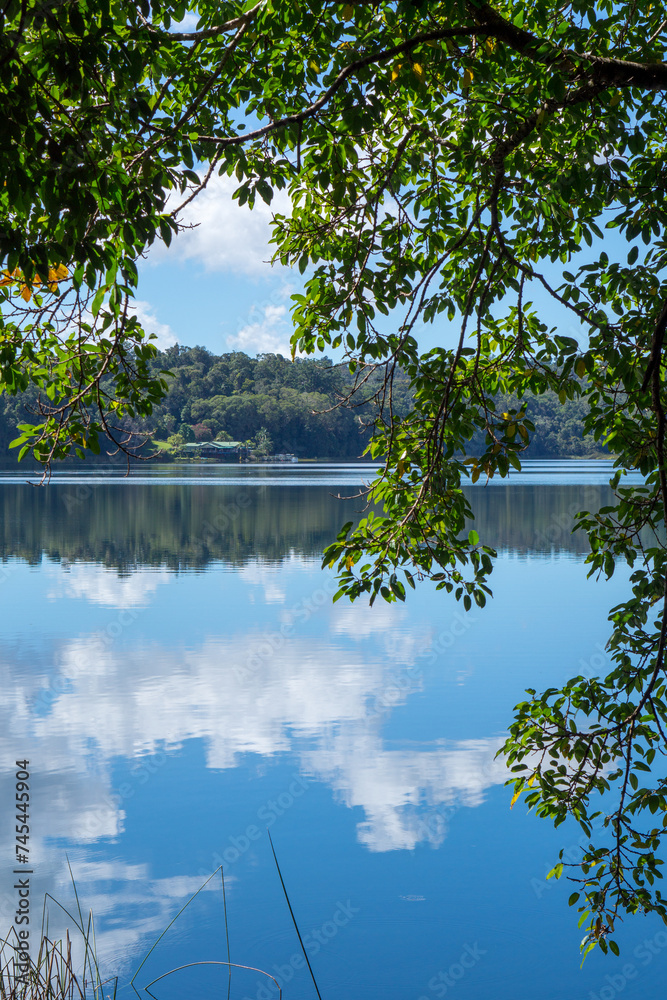 Obraz premium Embark on a tranquil journey to Lake Barrine in the Atherton Tablelands, Queensland, Australia, where serene waters mirror lush rainforest surroundings, inviting serenity and exploration.