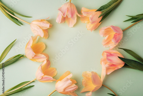 Frame of peach tulips on light green background. Spring holidays concept. Top view, flat lay