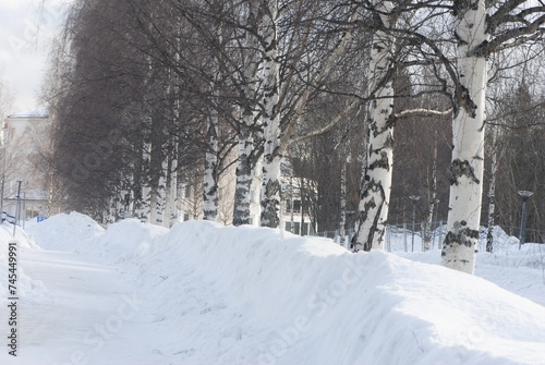 winter in the park © Svetlana