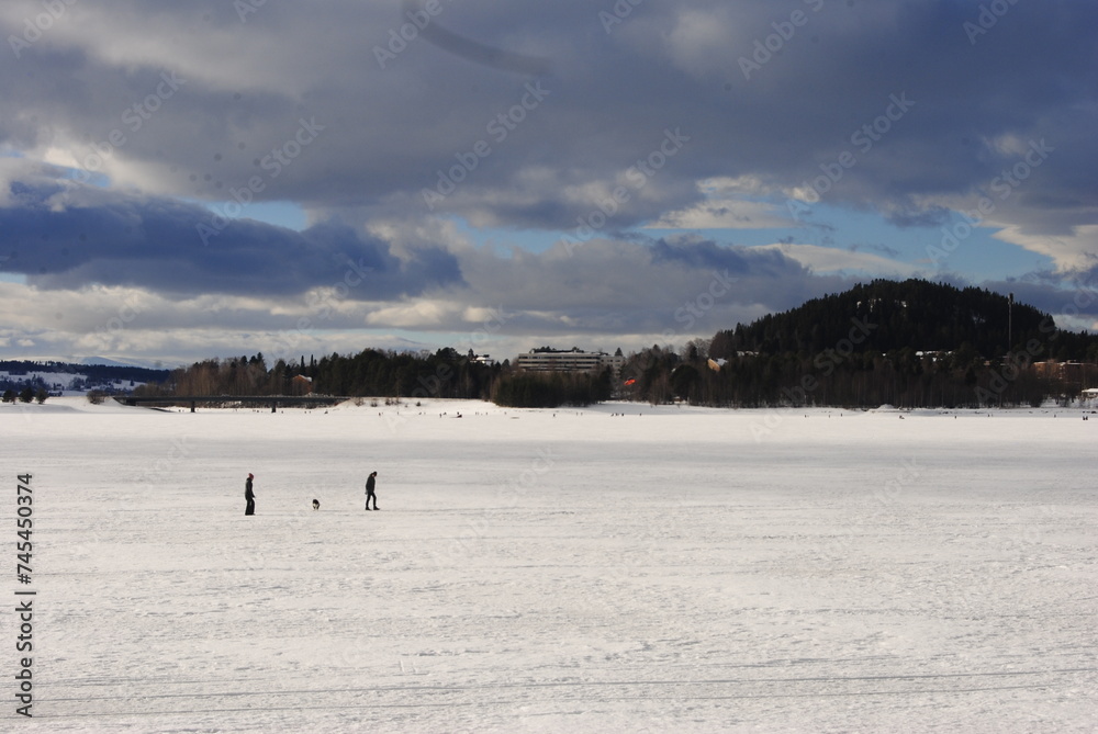 Östersund, Sweden 2024.02.25 
   Park and lake in winter in the city. Winter park in Östersund. People sunbathe, barbecue, ski, and skate.

