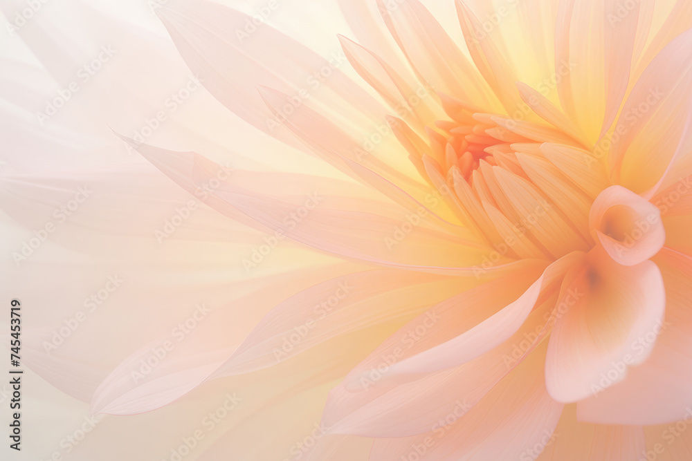 A close up of a large white flower showcasing its delicate petals and intricate details in the soft sunlight A close up of a large white flower showcasing its delicate petals and intricate details in the soft sunlight
