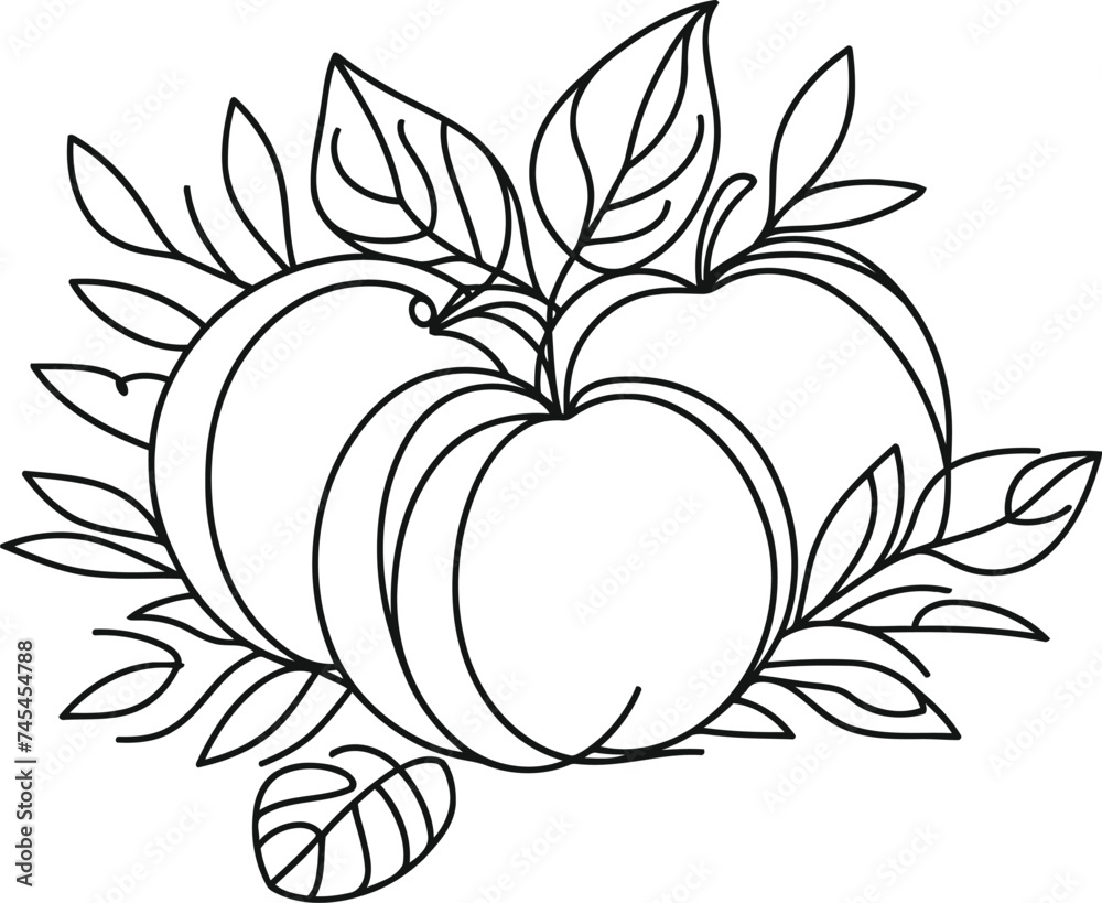 peach, plum, apricot in continuous line drawing minimalist style, peach, plum, apricot in continuous line drawing minimalist style,