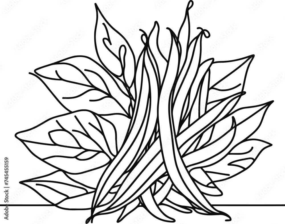 green bean in continuous line drawing minimalist style,