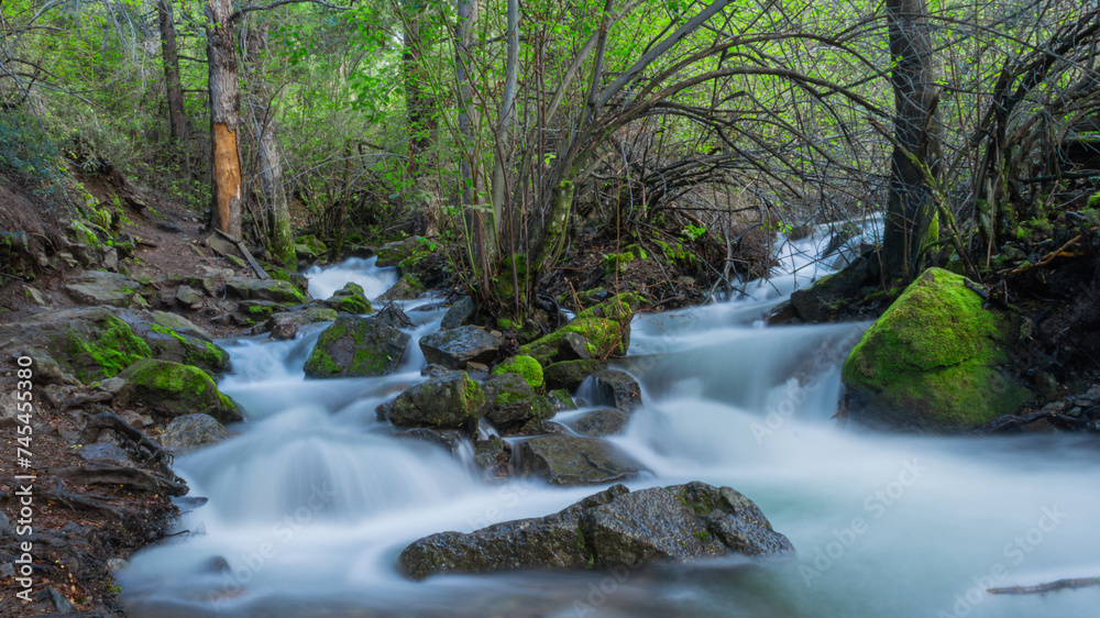 Small waterfall in Los Alerces National Park (Chubut, Argentina) 