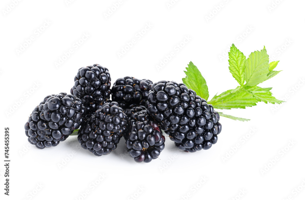 Fresh blackberries and leaves on white background Fresh blackberries and leaves on white background
