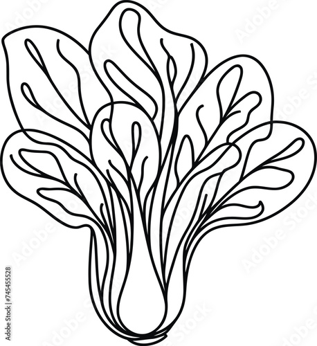 bok choy, pak choi in continuous line drawing minimalist style,