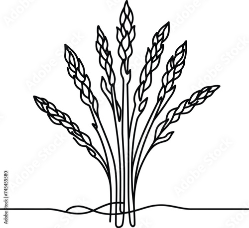 asparagus in continuous line drawing minimalist style,