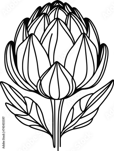 artichoke in continuous line drawing minimalist style,