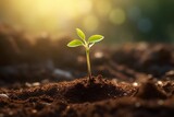 Fresh Green Sprout on Dirt Soil Background, Lens Flare Style, Dark Brown and Orange, Landscape Inspiration