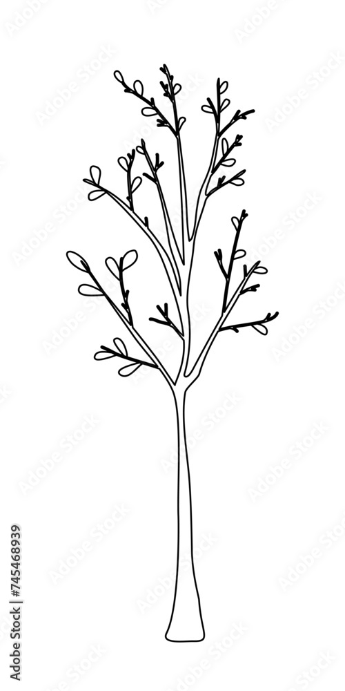 Young tree with leaves or tree seedling, doodle style flat vector outline for coloring book Young tree with leaves or tree seedling, doodle style flat vector outline for coloring book