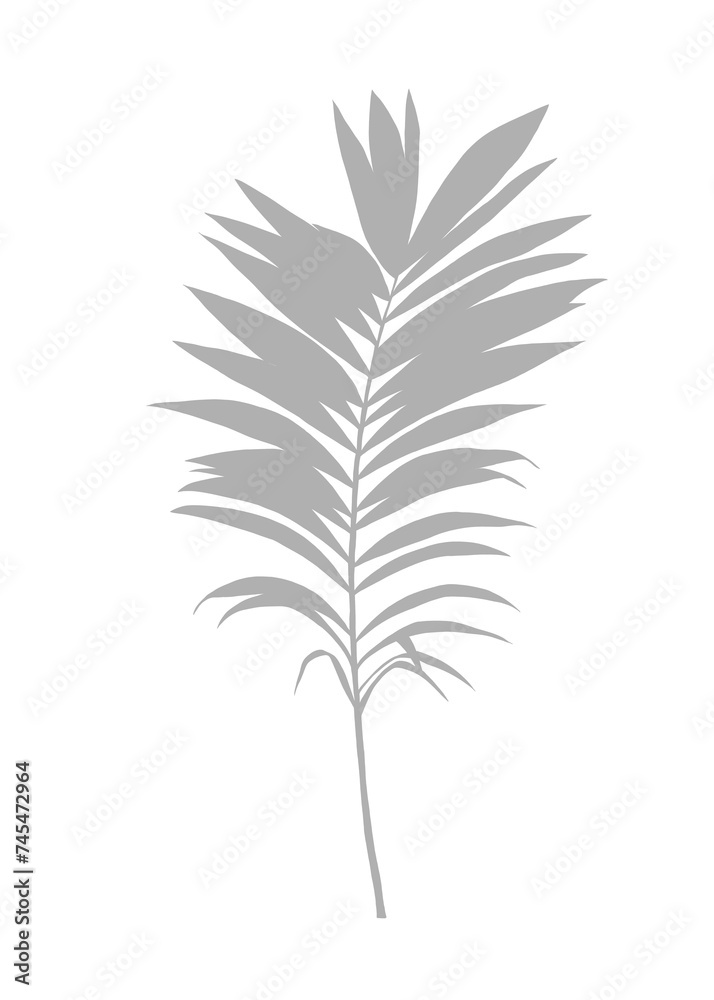 Grey Silhouettes of coconut trees and palm trees in nature, black ink foliage and tropical vibes, illustrated in hand drawn pattern. Isolated background.