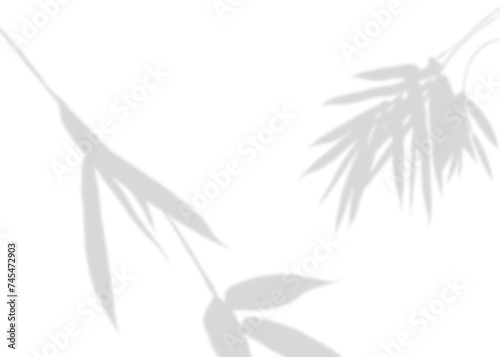 Fototapeta Naklejka Na Ścianę i Meble -  Blurry Gray Bamboo Silhouette in Isolated Background with Nature Elements. Hand drawn. Illustration with summer or spring floral time. Nature Pattern Design. For Decoration.