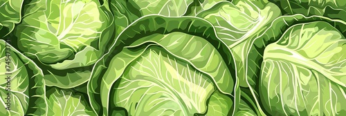 cute cabbage background