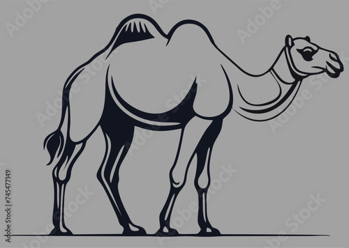 cute camel, isolated vector silhouette, on white background
