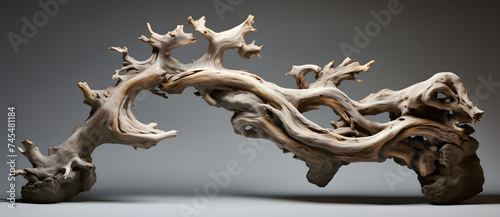 Asculpturalpieceofdriftwooddisplayingintricatetexturesandforms.