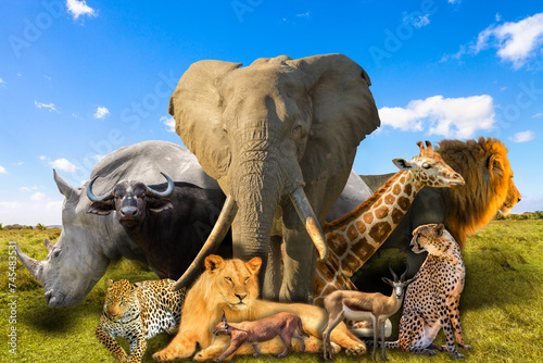 Big Five and wild african animals collage on savannah landscape. Serengeti wildlife area in Tanzania, Africa. African safari scene. Wallpaper background. Blue sky. © bennymarty