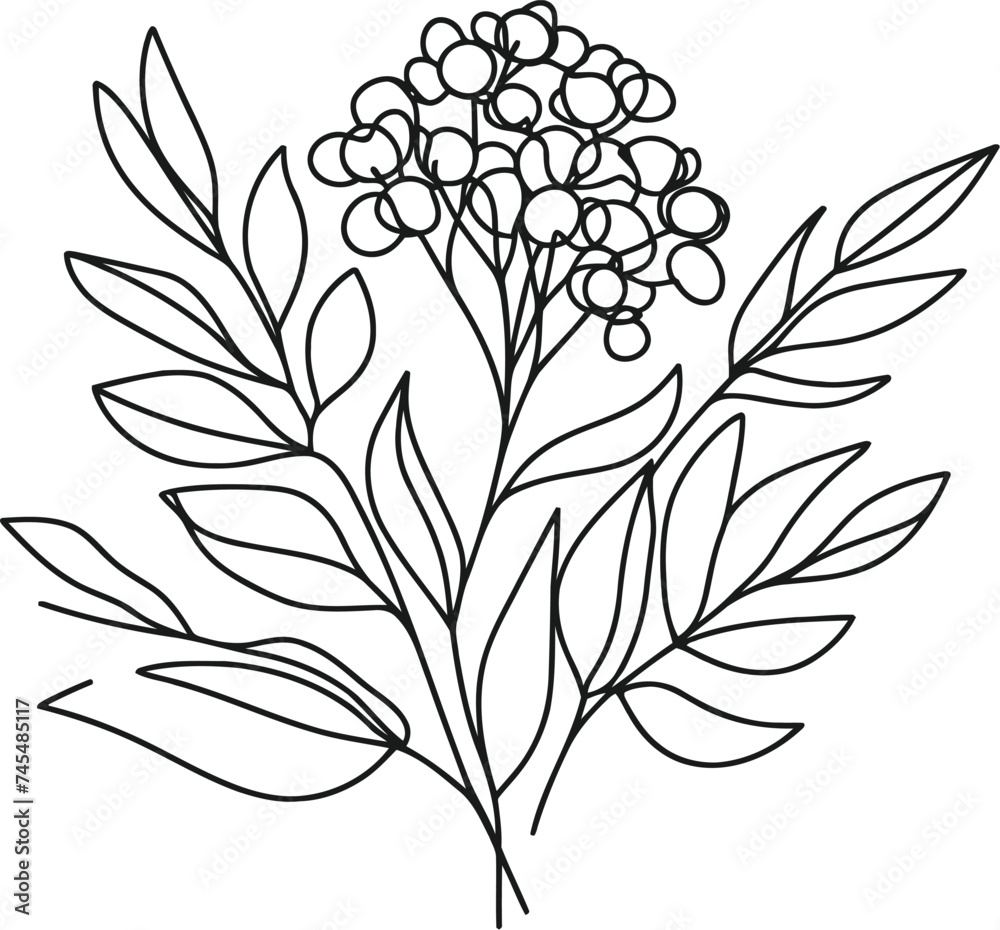Lilacs flower in continuous line drawing minimalist style. Lilacs flower in continuous line drawing minimalist style.