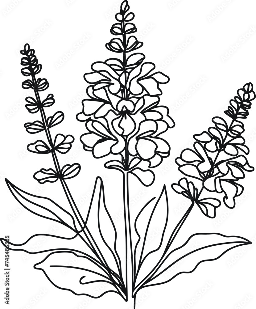Lavender flower in continuous line drawing minimalist style.