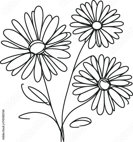 Daisies flower in continuous line drawing minimalist style.